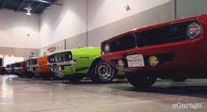 Car Collection Called The Zoo